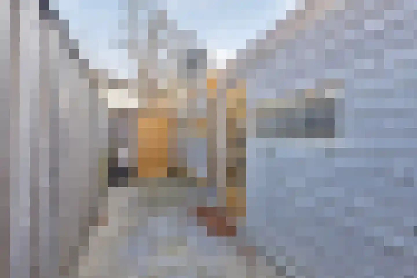 Tichelkuilen 49 Zutphen thumbnail 30