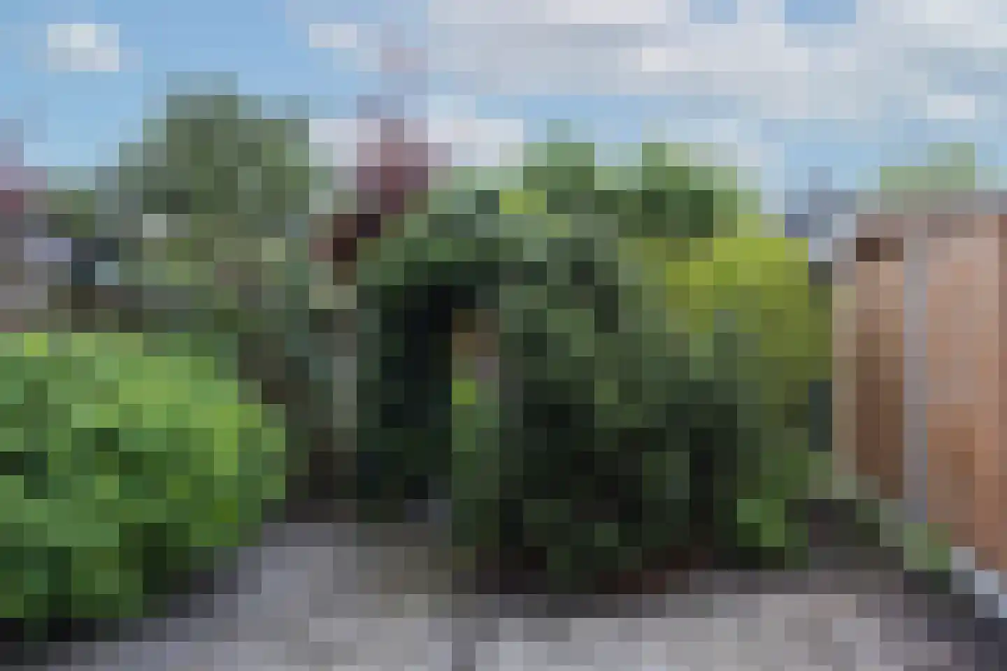 Tichelkuilen 68 Zutphen thumbnail 17