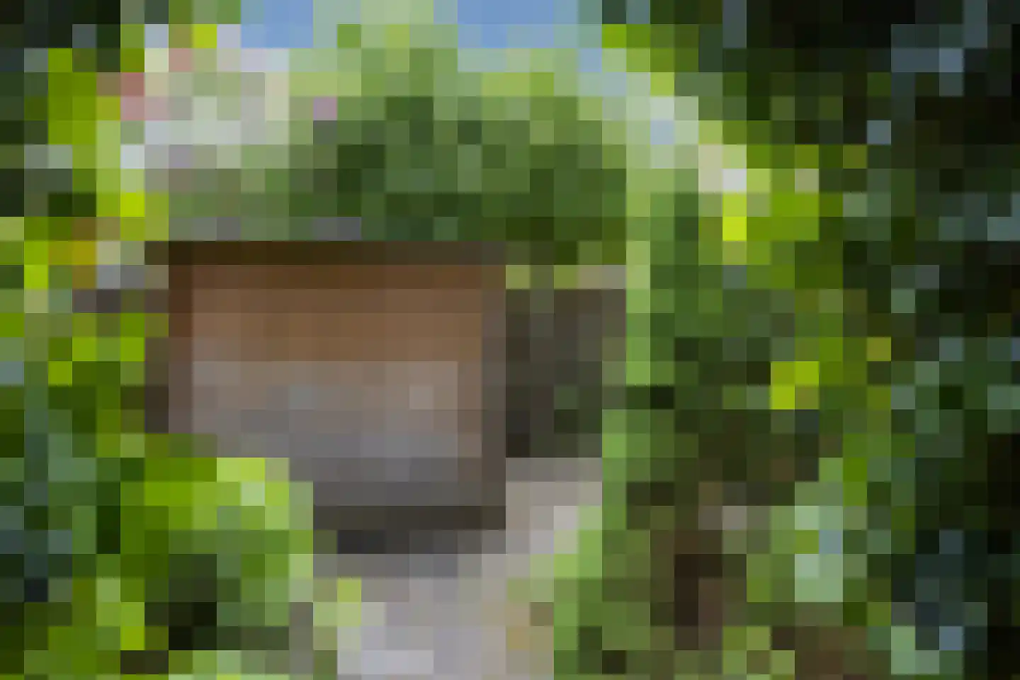 Tichelkuilen 68 Zutphen thumbnail 18