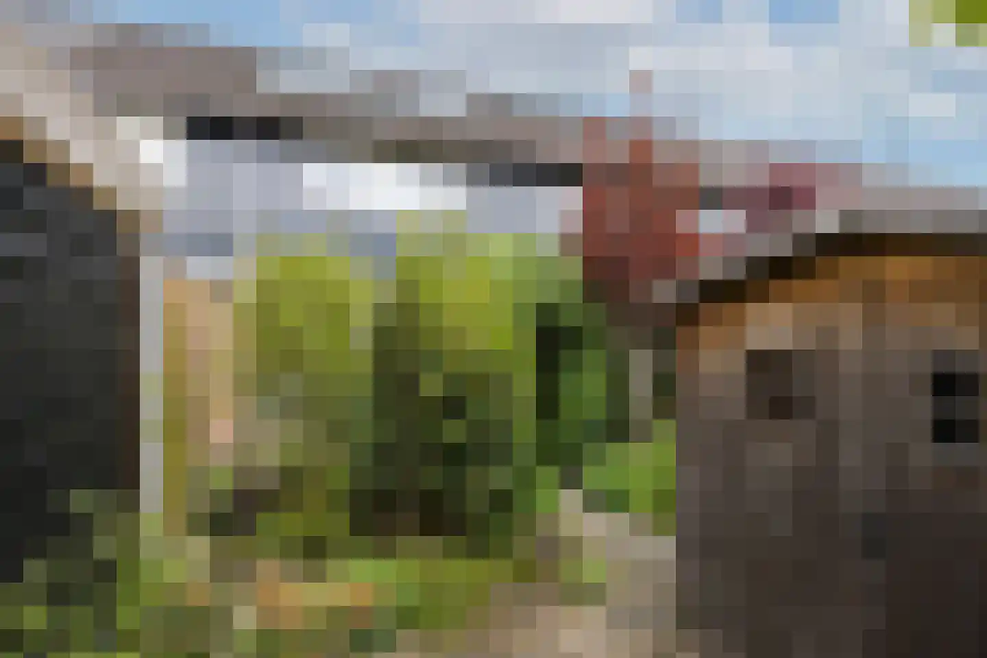 Tichelkuilen 68 Zutphen thumbnail 19