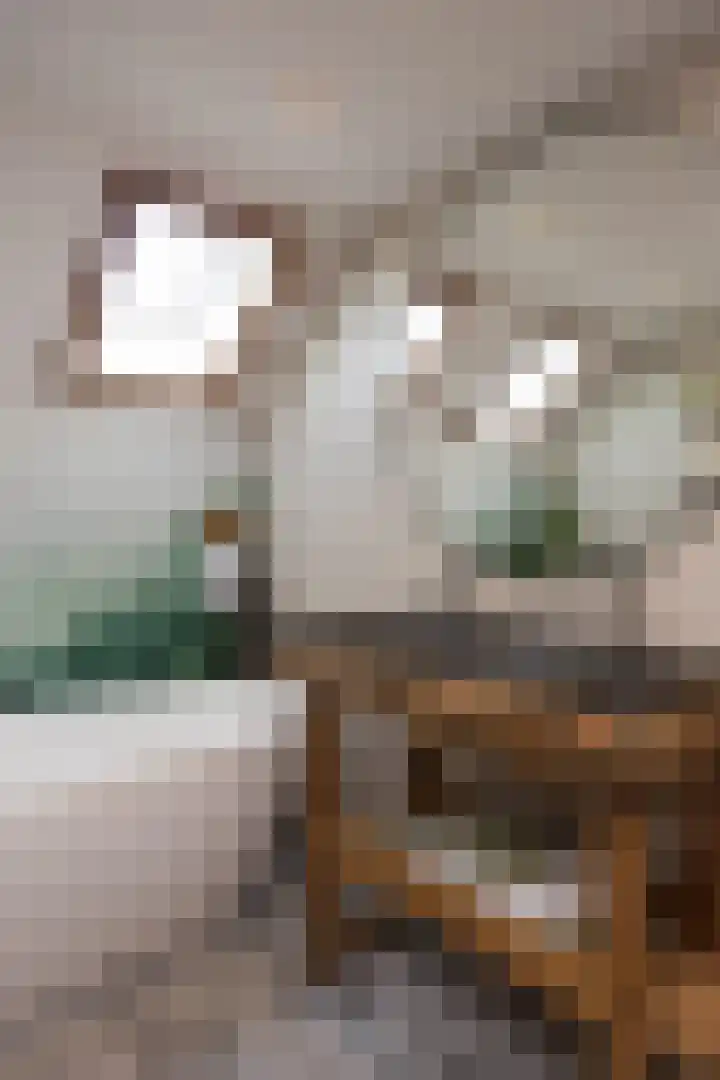 Tichelkuilen 94 Zutphen thumbnail 20
