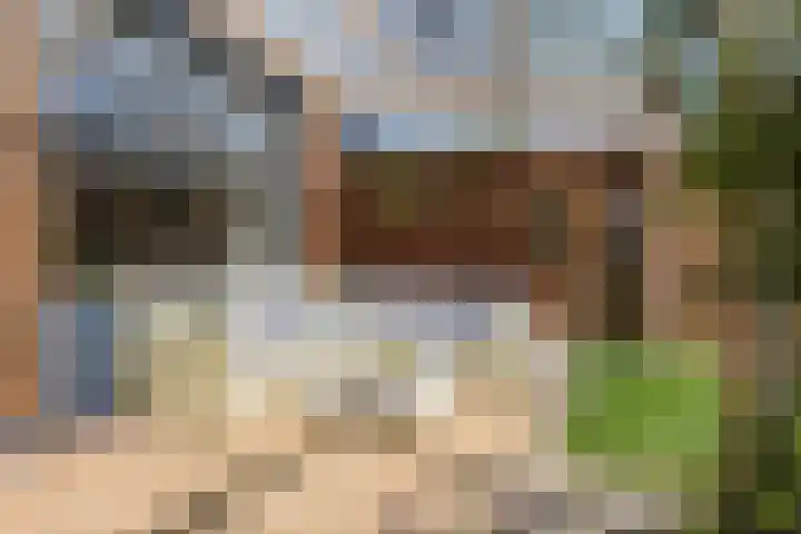 Tichelkuilen 94 Zutphen thumbnail 24