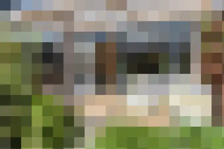 Tichelkuilen 94 Zutphen thumbnail 25