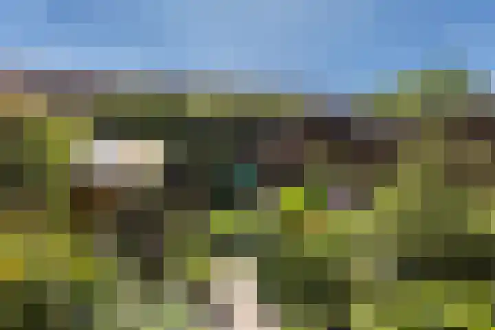 Tichelkuilen 94 Zutphen thumbnail 26