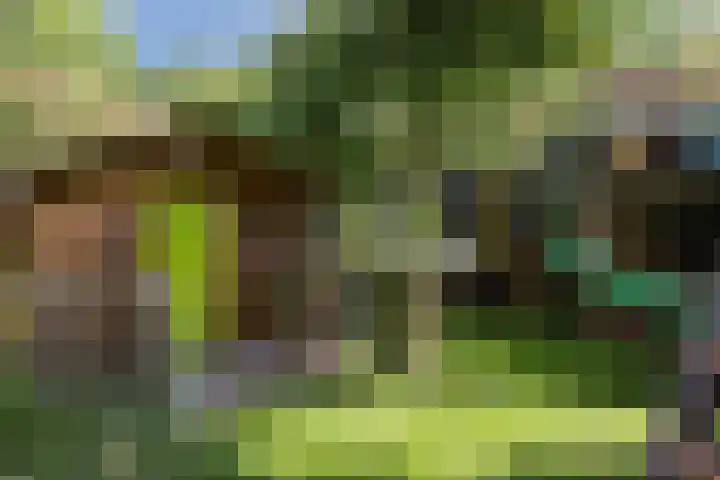 Tichelkuilen 94 Zutphen thumbnail 27