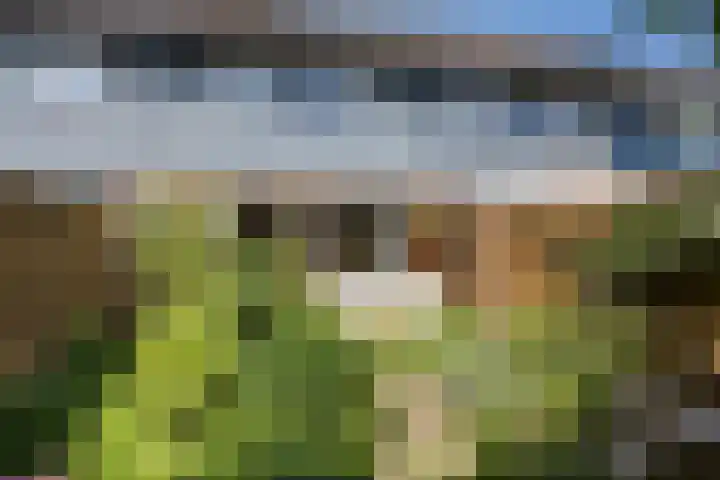 Tichelkuilen 94 Zutphen thumbnail 28