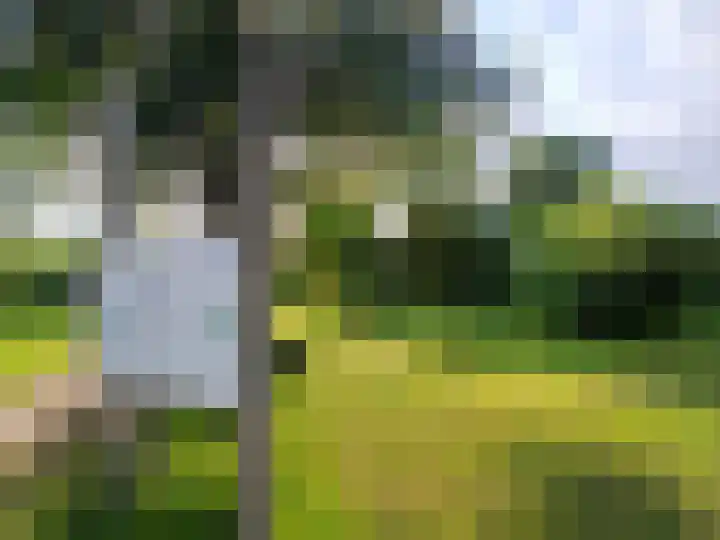 Tichelkuilen 94 Zutphen thumbnail 29