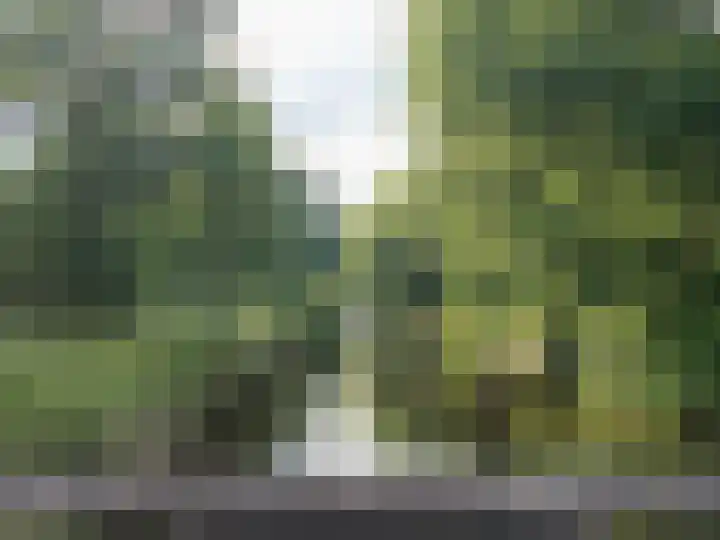 Tichelkuilen 94 Zutphen thumbnail 30