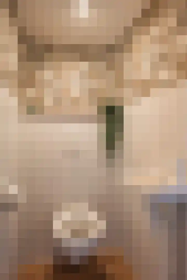 Tichelkuilen 94 Zutphen thumbnail 5