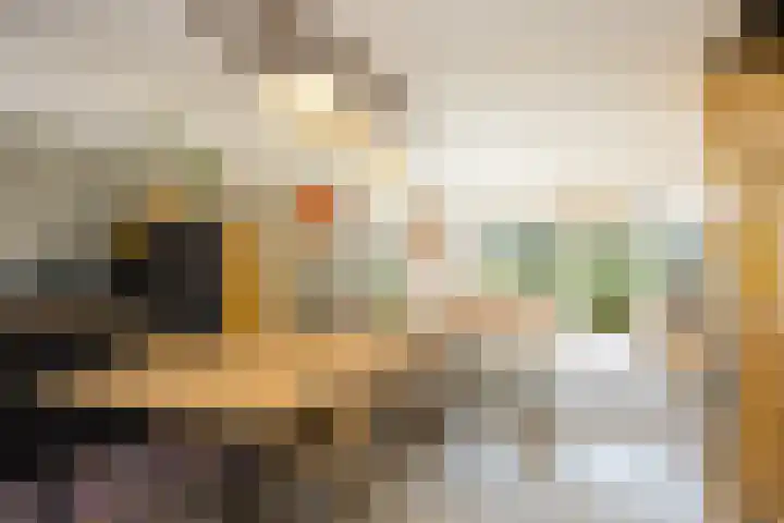 Tichelkuilen 94 Zutphen thumbnail 6