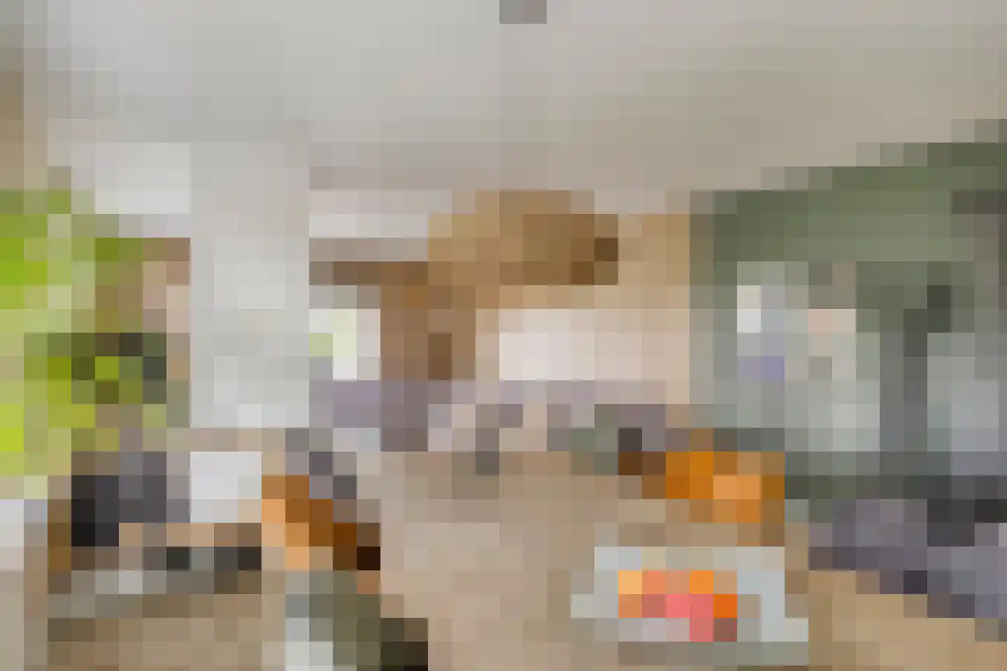 Tichelmanstraat 9 Zetten thumbnail 17