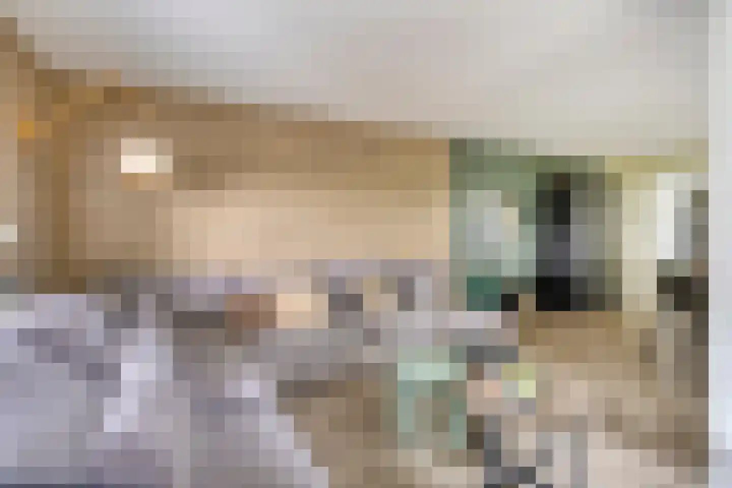 Tichelmanstraat 9 Zetten thumbnail 20