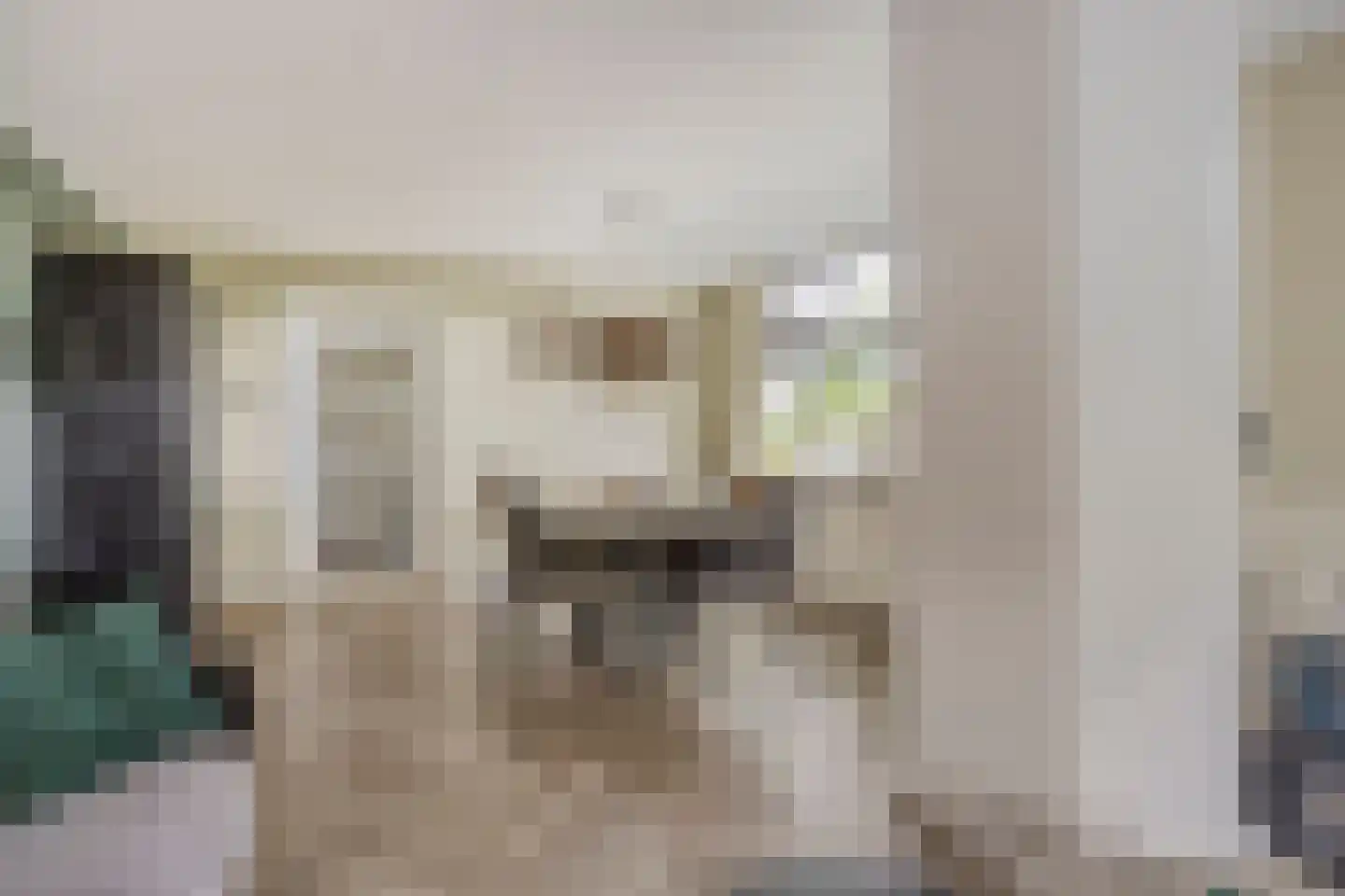 Tichelmanstraat 9 Zetten thumbnail 21