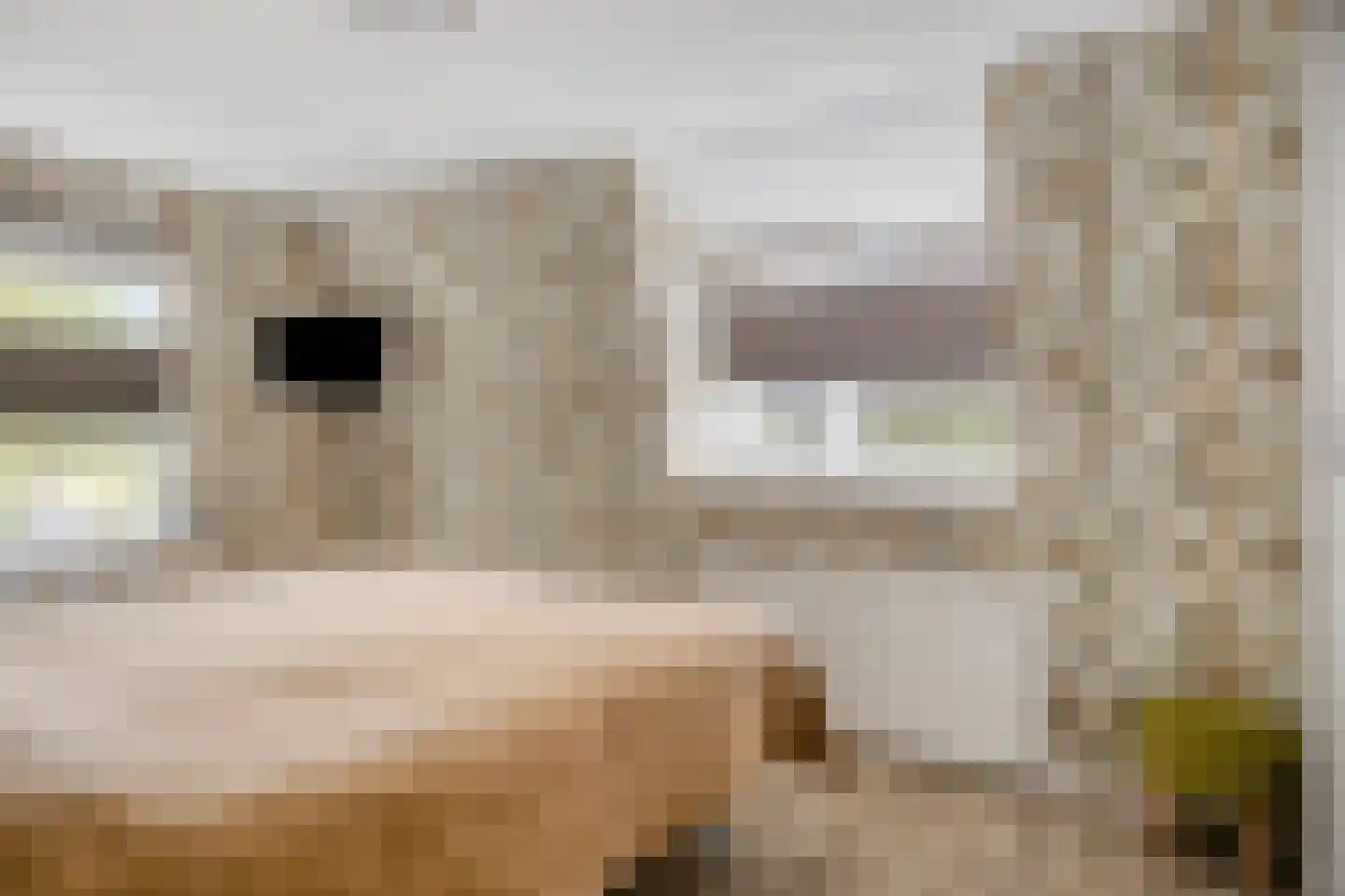 Tichelmanstraat 9 Zetten thumbnail 25