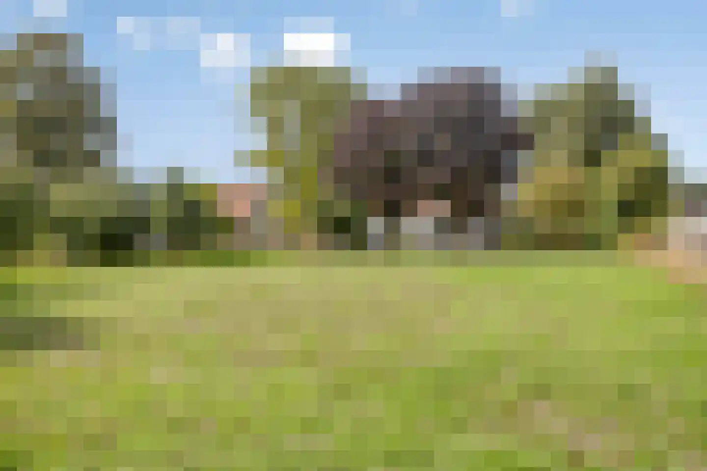 Tichelmanstraat 9 Zetten thumbnail 54