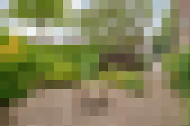 Tichelmeesterlaan 70 Zwolle thumbnail 10