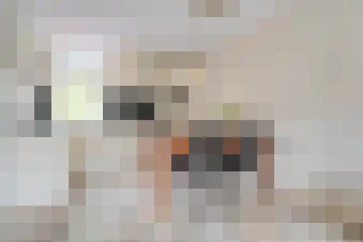 Tichelmeesterlaan 70 Zwolle thumbnail 14