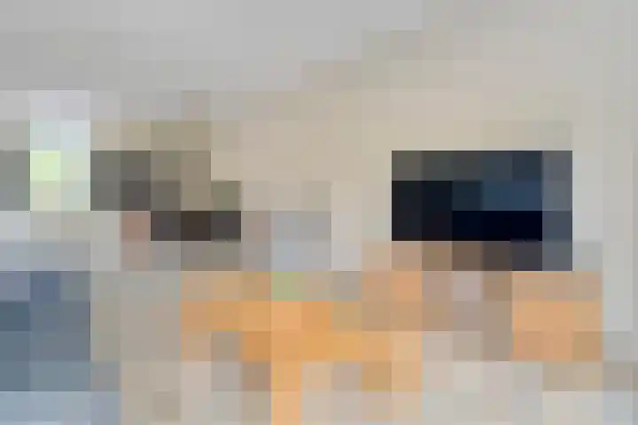 Tichelmeesterlaan 70 Zwolle thumbnail 17
