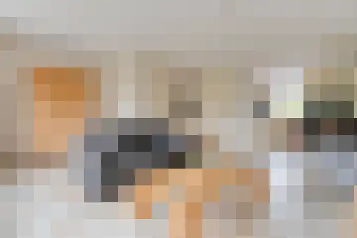 Tichelmeesterlaan 70 Zwolle thumbnail 18