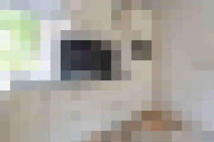 Tichelmeesterlaan 70 Zwolle thumbnail 20