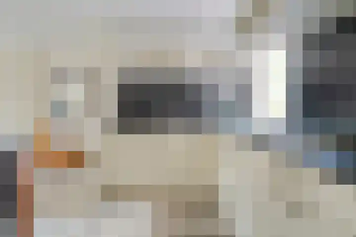 Tichelmeesterlaan 70 Zwolle thumbnail 21