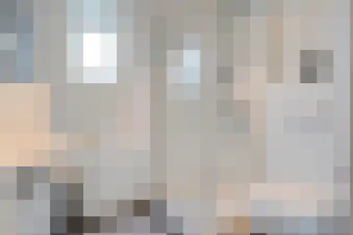 Tichelmeesterlaan 70 Zwolle thumbnail 31