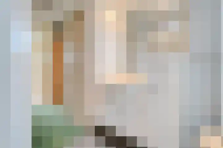 Tichelmeesterlaan 70 Zwolle thumbnail 32