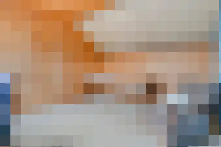 Tichelmeesterlaan 70 Zwolle thumbnail 36