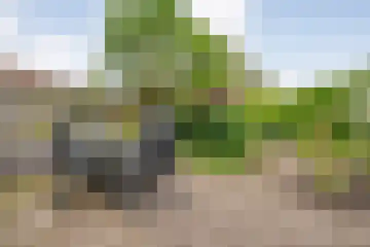 Tichelmeesterlaan 70 Zwolle thumbnail 37