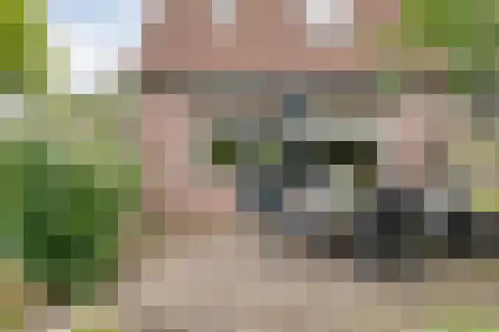 Tichelmeesterlaan 70 Zwolle thumbnail 39