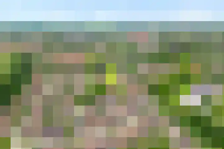 Tichelmeesterlaan 70 Zwolle thumbnail 4