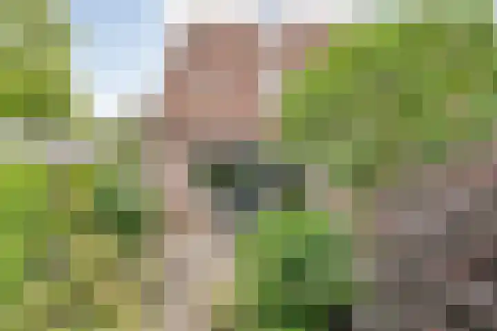Tichelmeesterlaan 70 Zwolle thumbnail 41