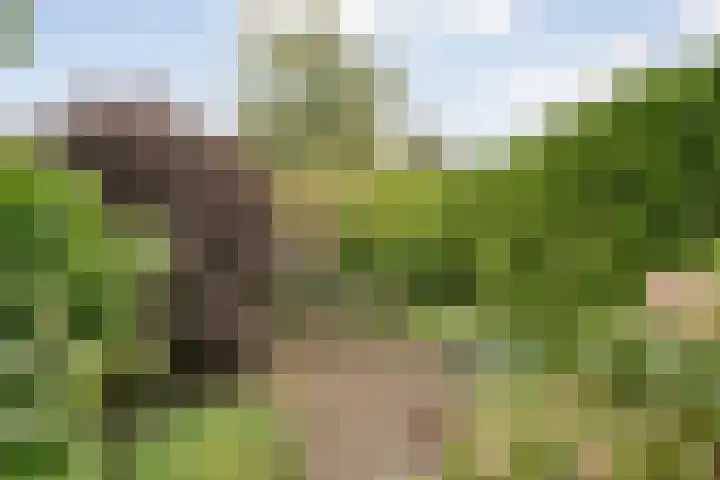 Tichelmeesterlaan 70 Zwolle thumbnail 42