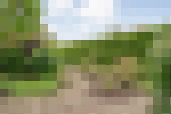 Tichelmeesterlaan 70 Zwolle thumbnail 43