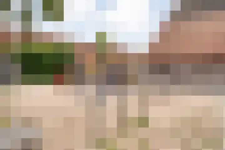 Tichelmeesterlaan 70 Zwolle thumbnail 44