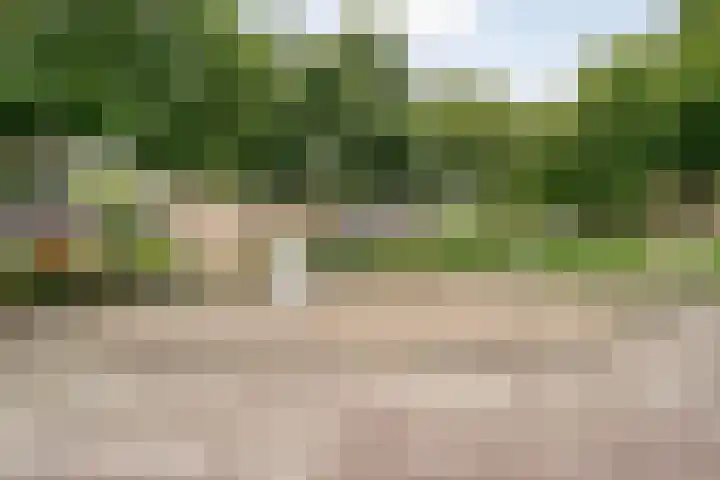 Tichelmeesterlaan 70 Zwolle thumbnail 45
