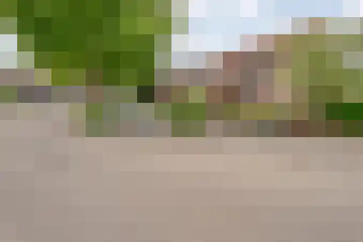 Tichelmeesterlaan 70 Zwolle thumbnail 5