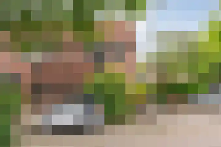 Tichelmeesterlaan 70 Zwolle thumbnail 7