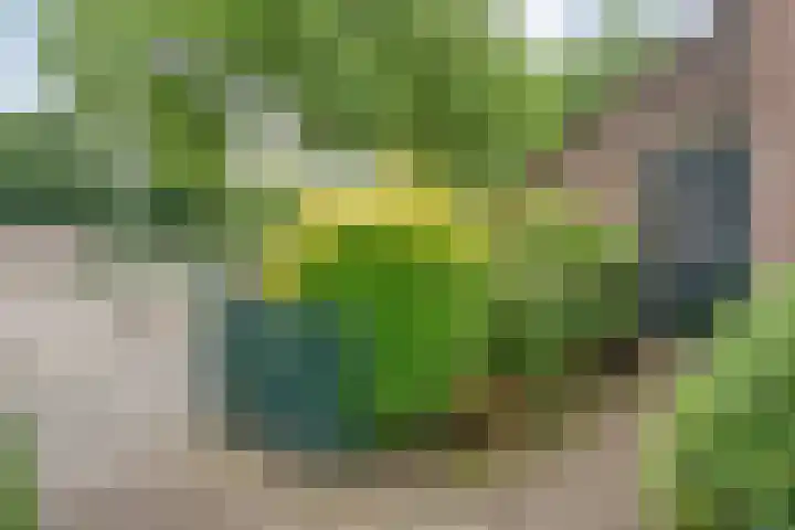 Tichelmeesterlaan 70 Zwolle thumbnail 8