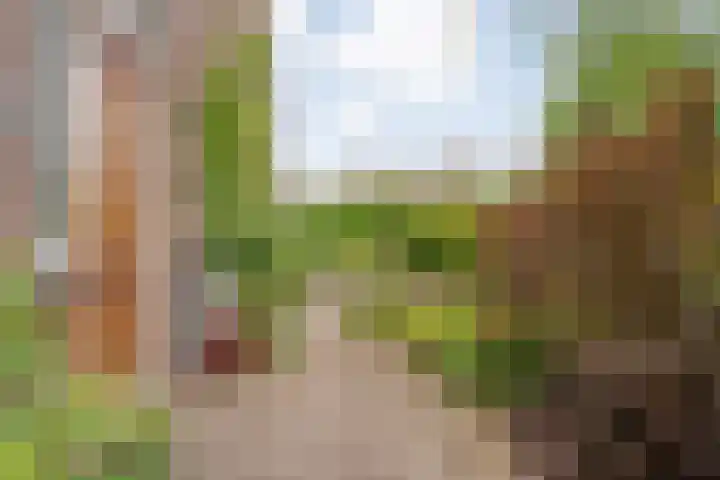 Tichelmeesterlaan 70 Zwolle thumbnail 9