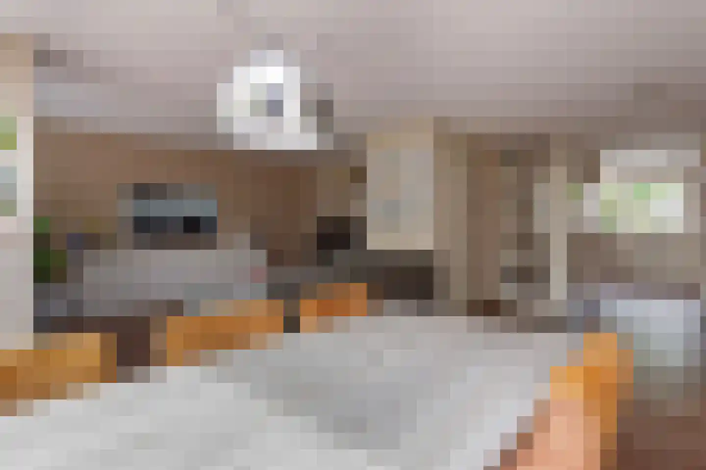 Ticheloven 11 Maarssen thumbnail 11