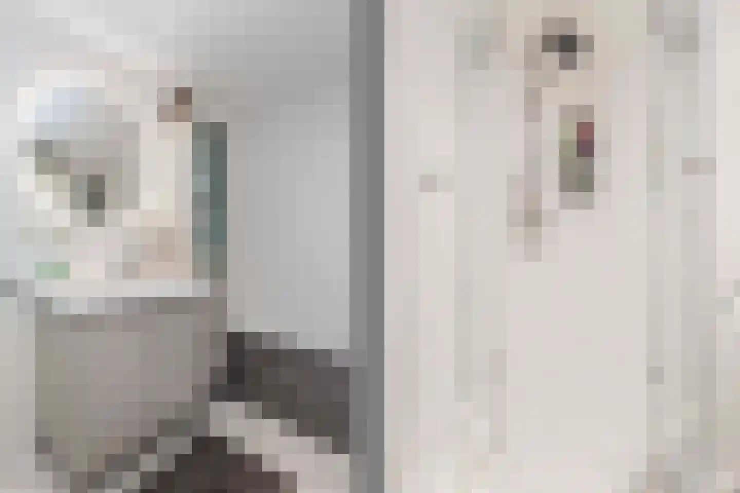 Ticheloven 11 Maarssen thumbnail 30