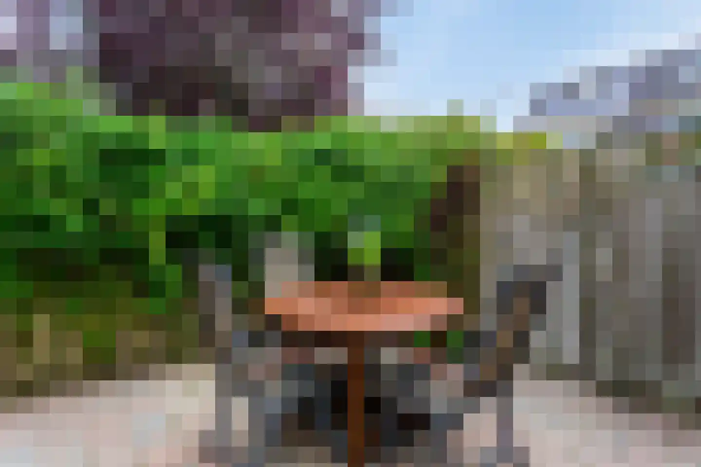 Ticheloven 11 Maarssen thumbnail 44