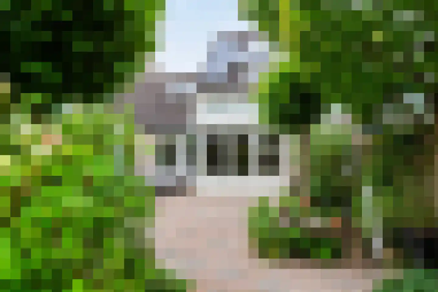 Ticheloven 11 Maarssen thumbnail 46