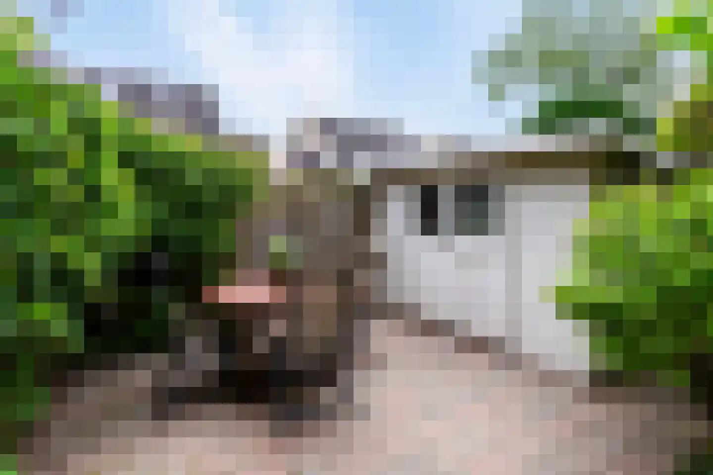 Ticheloven 11 Maarssen thumbnail 48