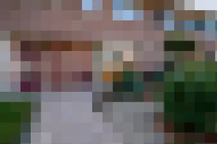 Ticheloven 56 Giesbeek thumbnail 10