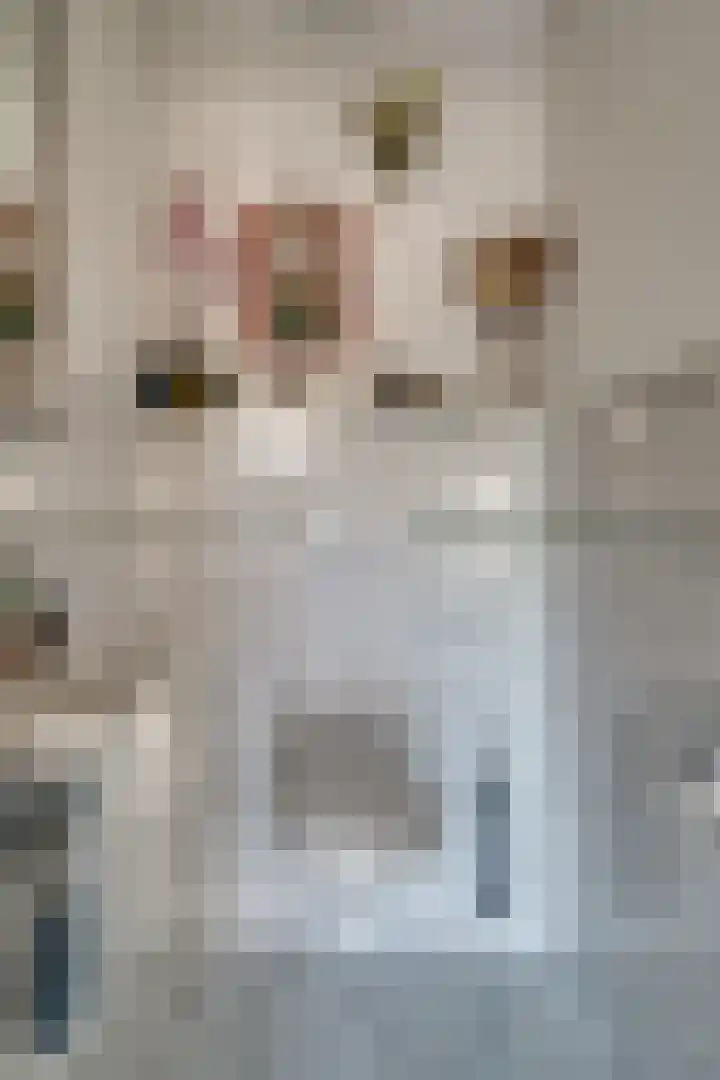 Ticheloven 56 Giesbeek thumbnail 11
