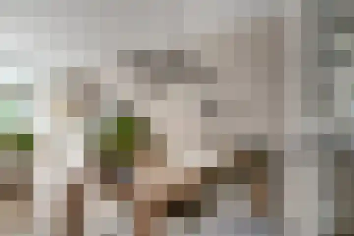 Ticheloven 56 Giesbeek thumbnail 12