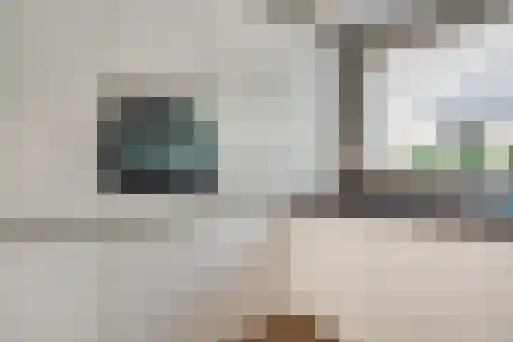 Ticheloven 56 Giesbeek thumbnail 13