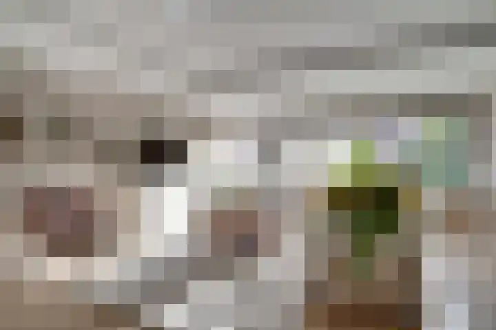 Ticheloven 56 Giesbeek thumbnail 15